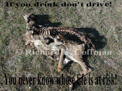 Don't Drink and Drive!